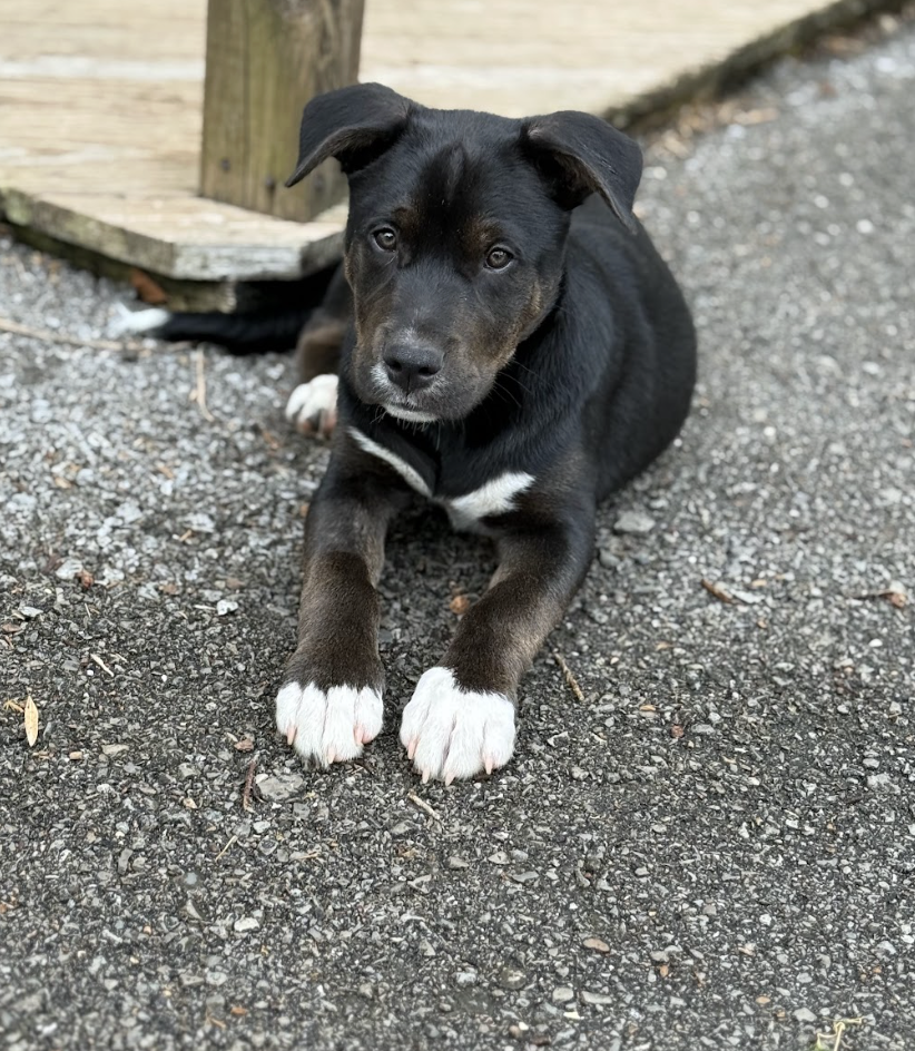 Screenshot 2026-03-12 at 3.36.07 PM.png