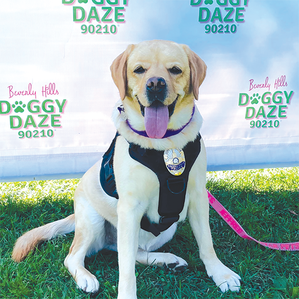 Beverly Hills Doggy Daze returns to Roxbury Park