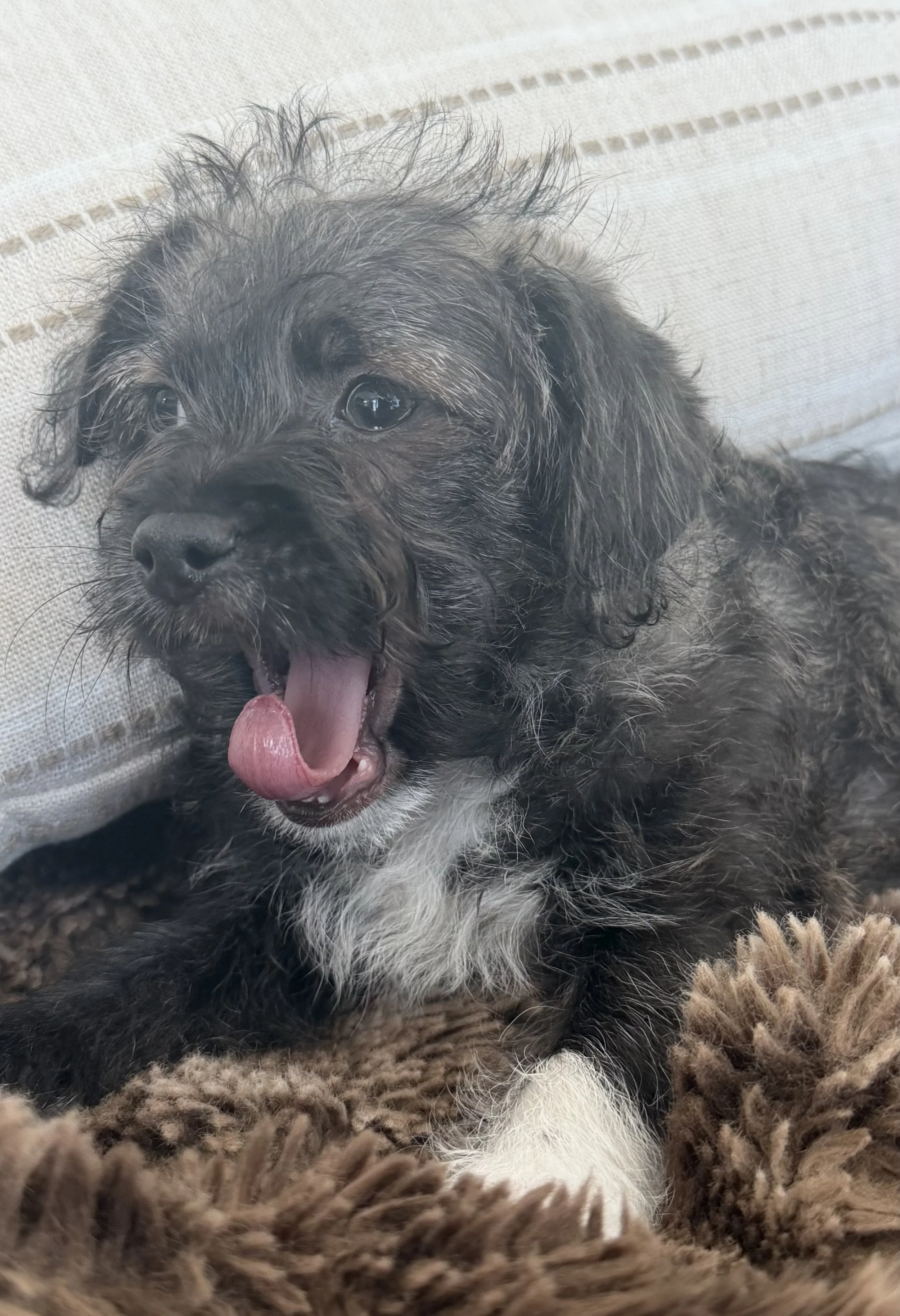 IMG_5314.jpg