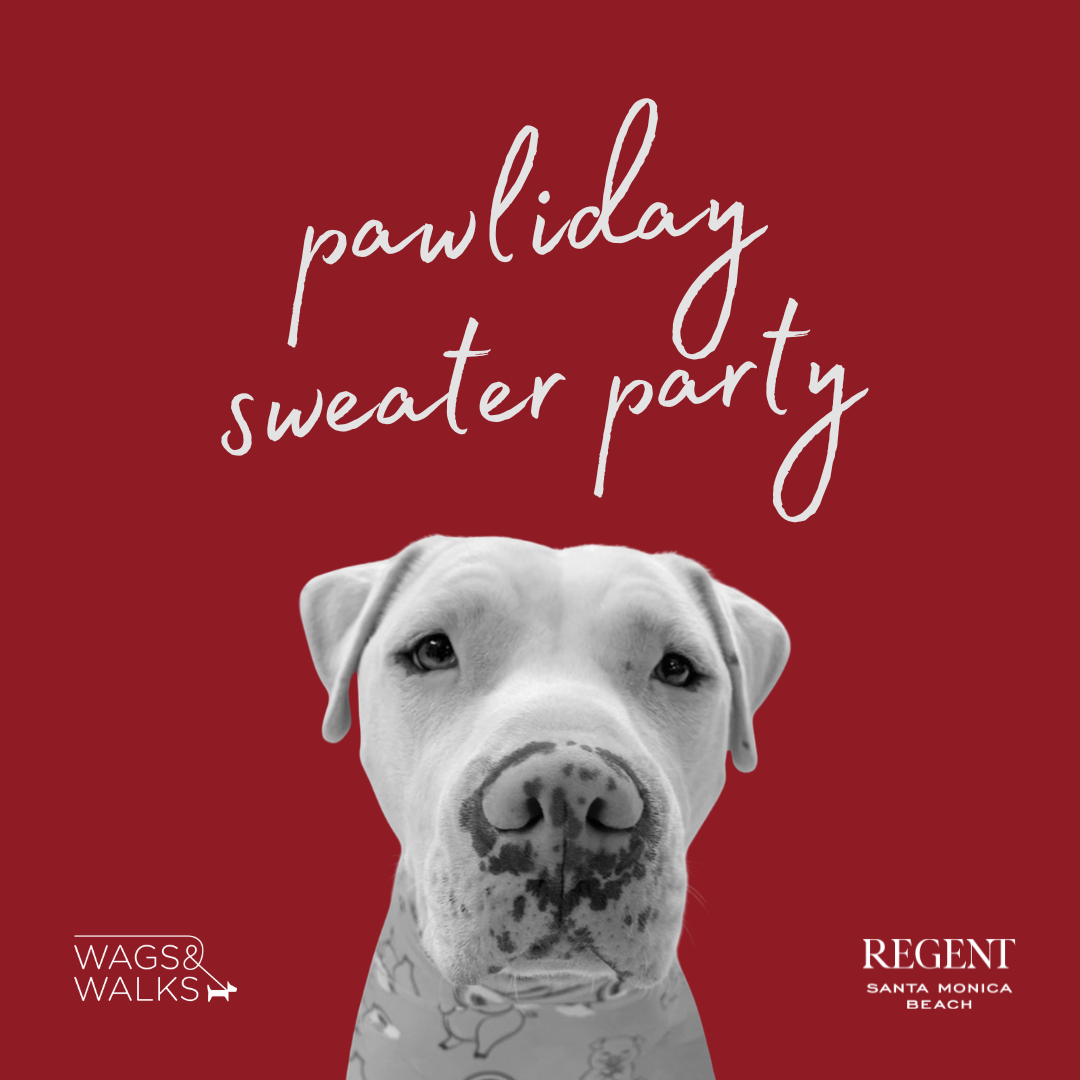 Pawliday Sweater Party at the Regent Santa Monica!