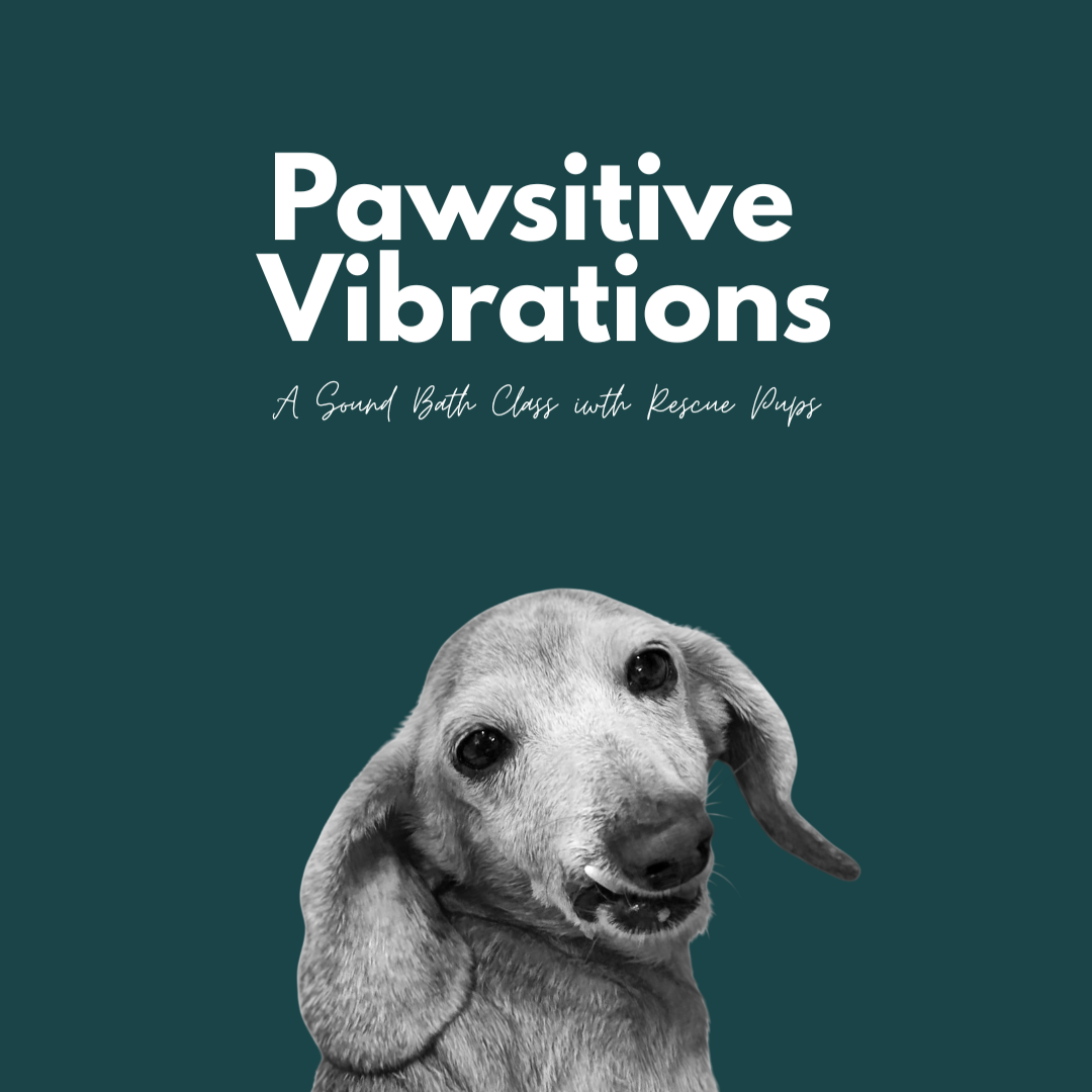 Pawsitive Vibrations: Soundbaths with Gwen