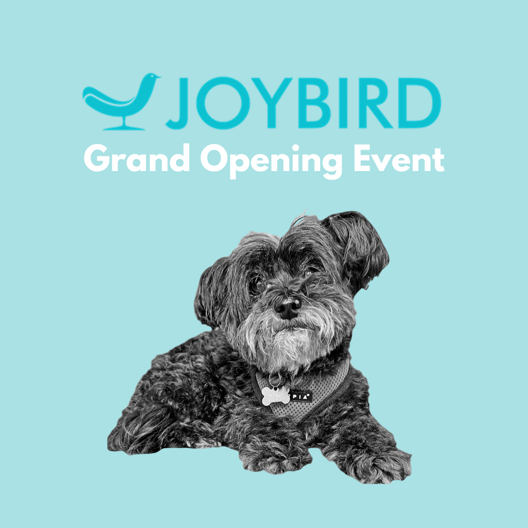 Joybird Grand Opening Event