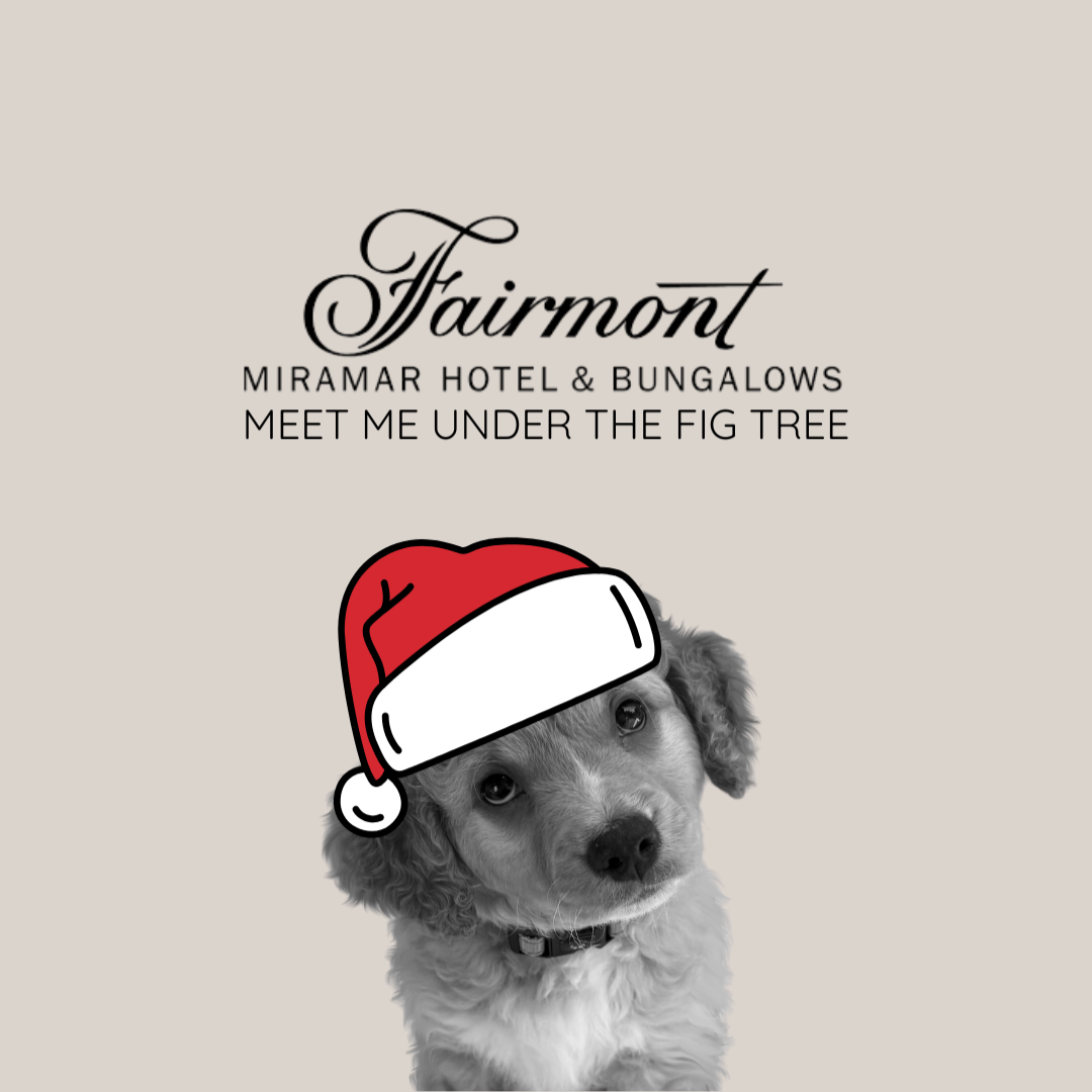 Meet Me Under the Fig Tree