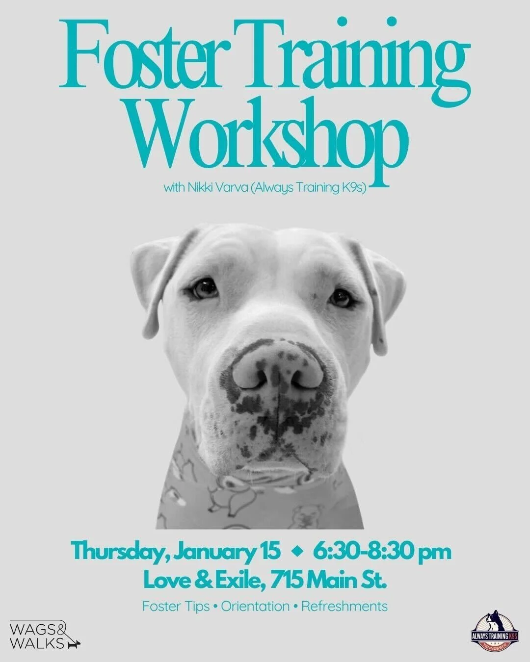 Foster Training Workshop