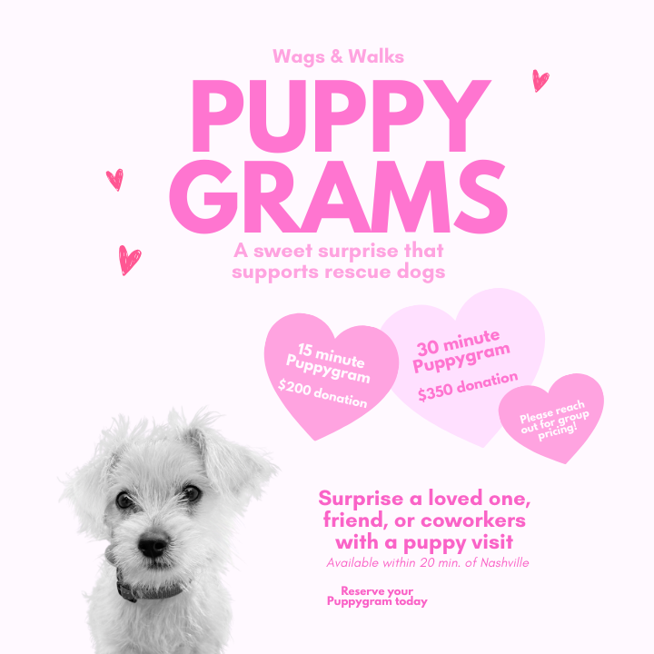In Person Valentines Day Puppygrams