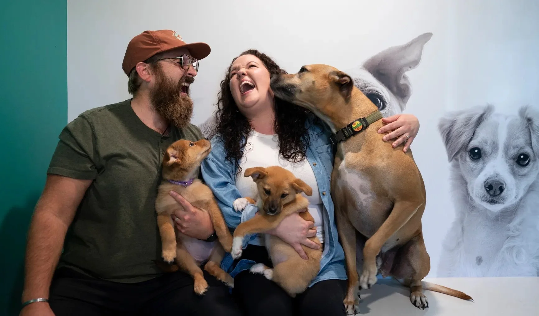 The Tennessean Highlights Wags &amp; Walks Foster Super-Volunteers