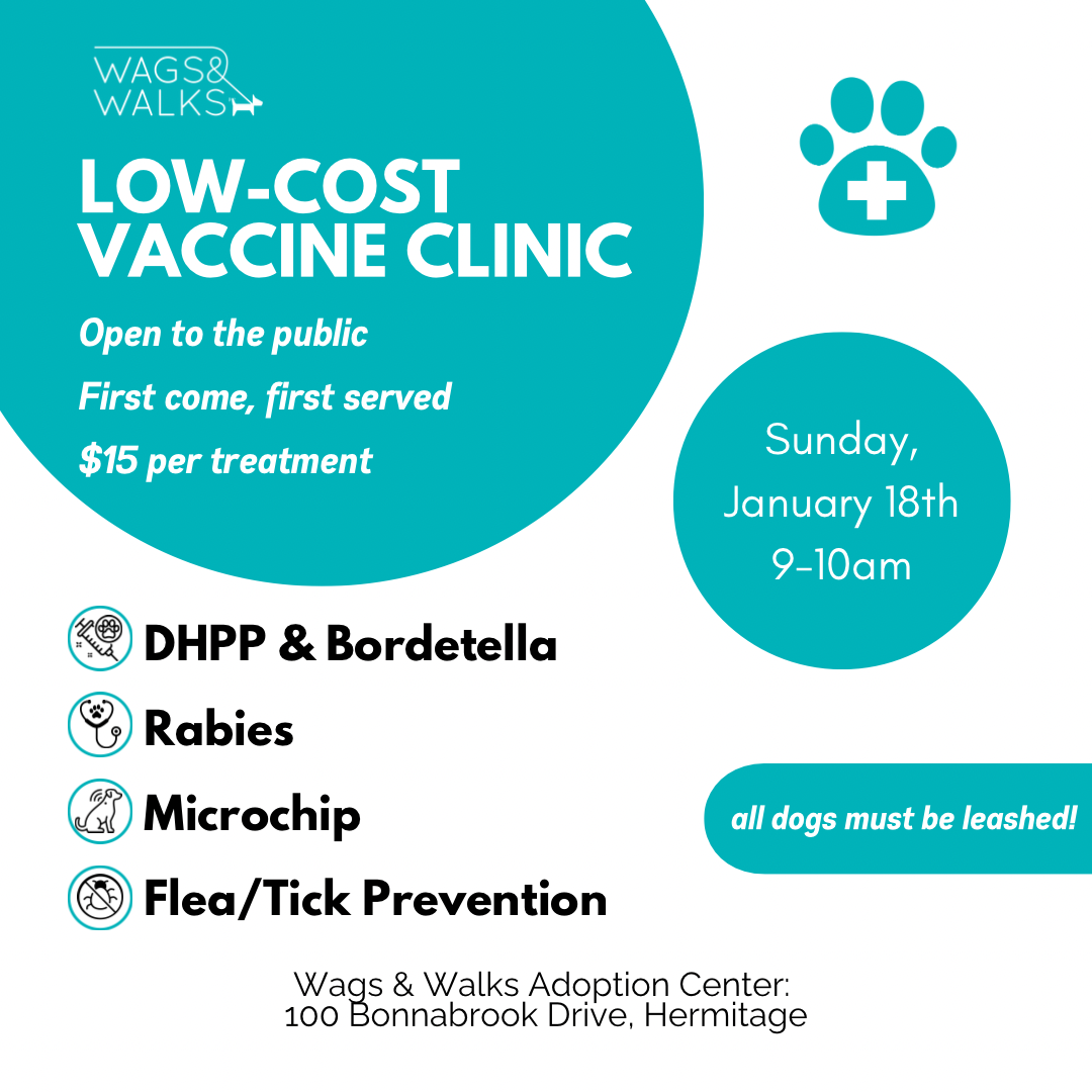 Low-cost Vaccine &amp; Microchip Clinic