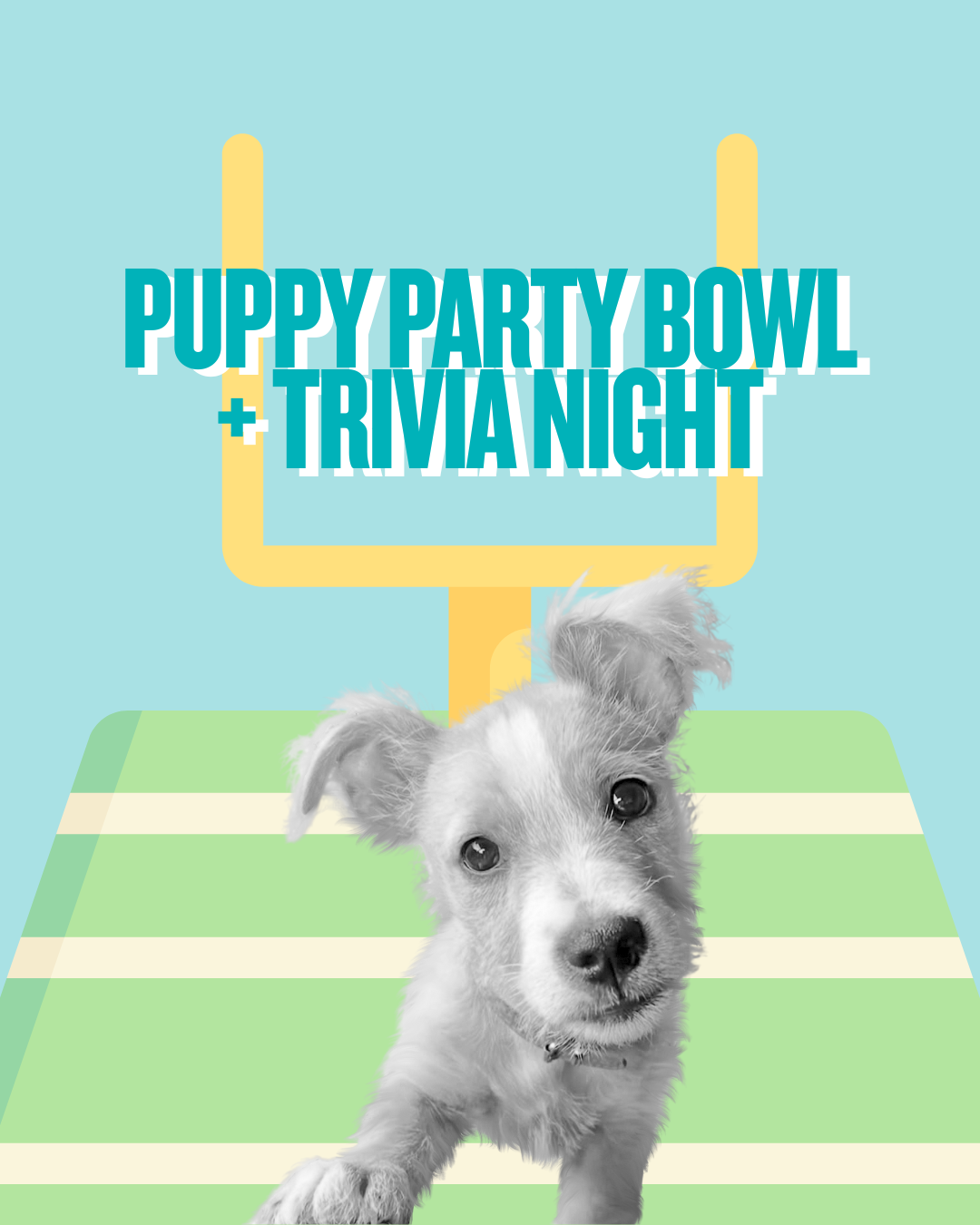 Puppy Party Bowl + Trivia Night