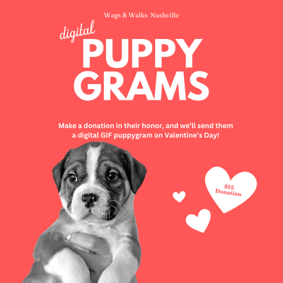 Digital Puppygrams