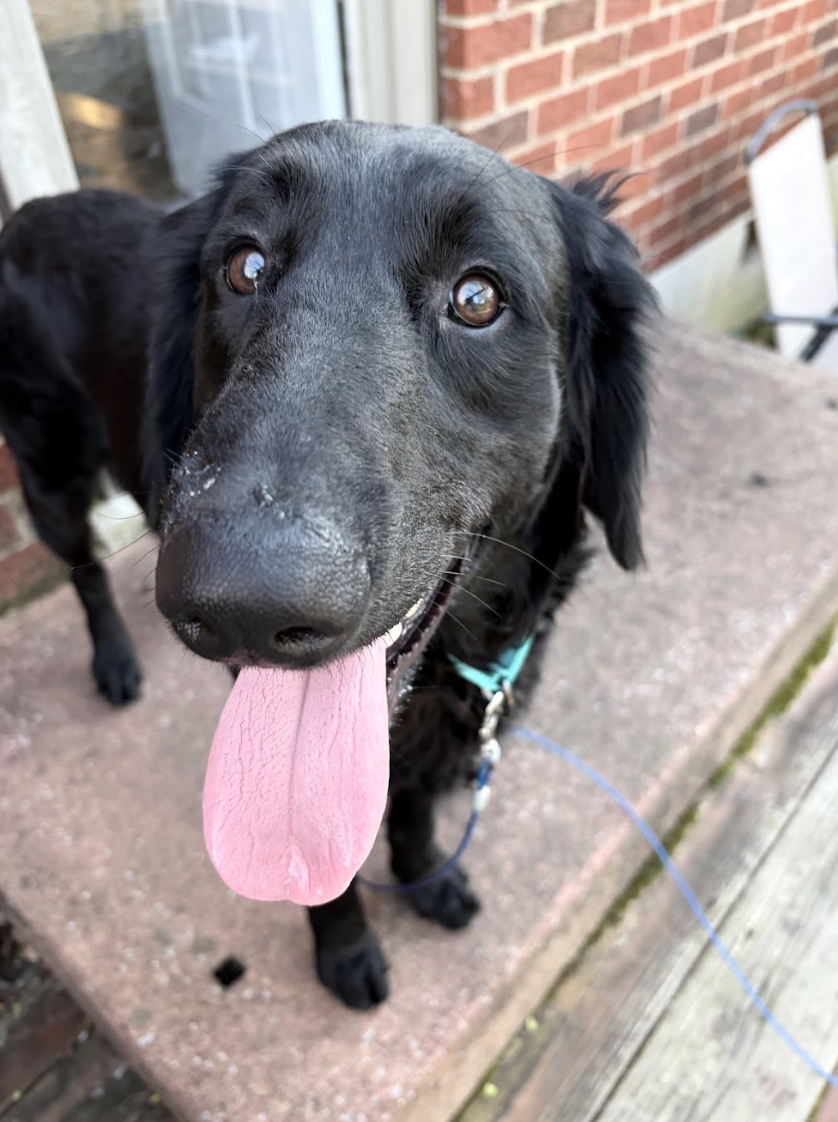 Screenshot 2026-03-20 at 3.21.33 PM.png