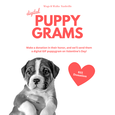 Digital Puppygrams