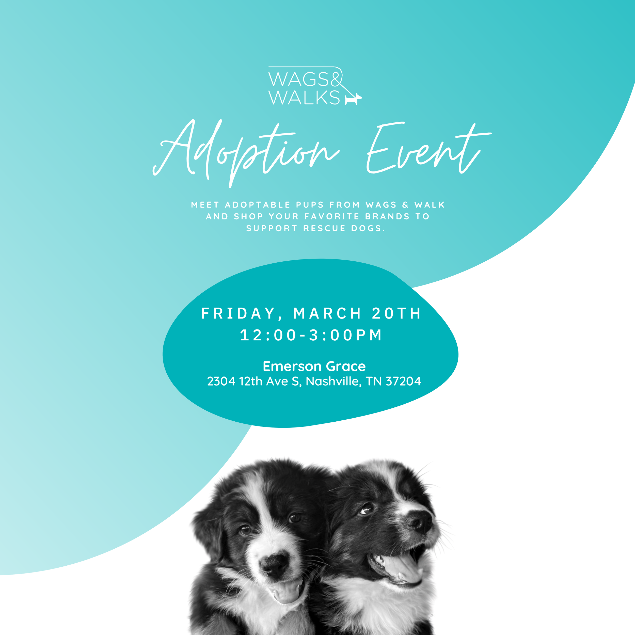 Shopping and Adoption Event with Emerson Grace