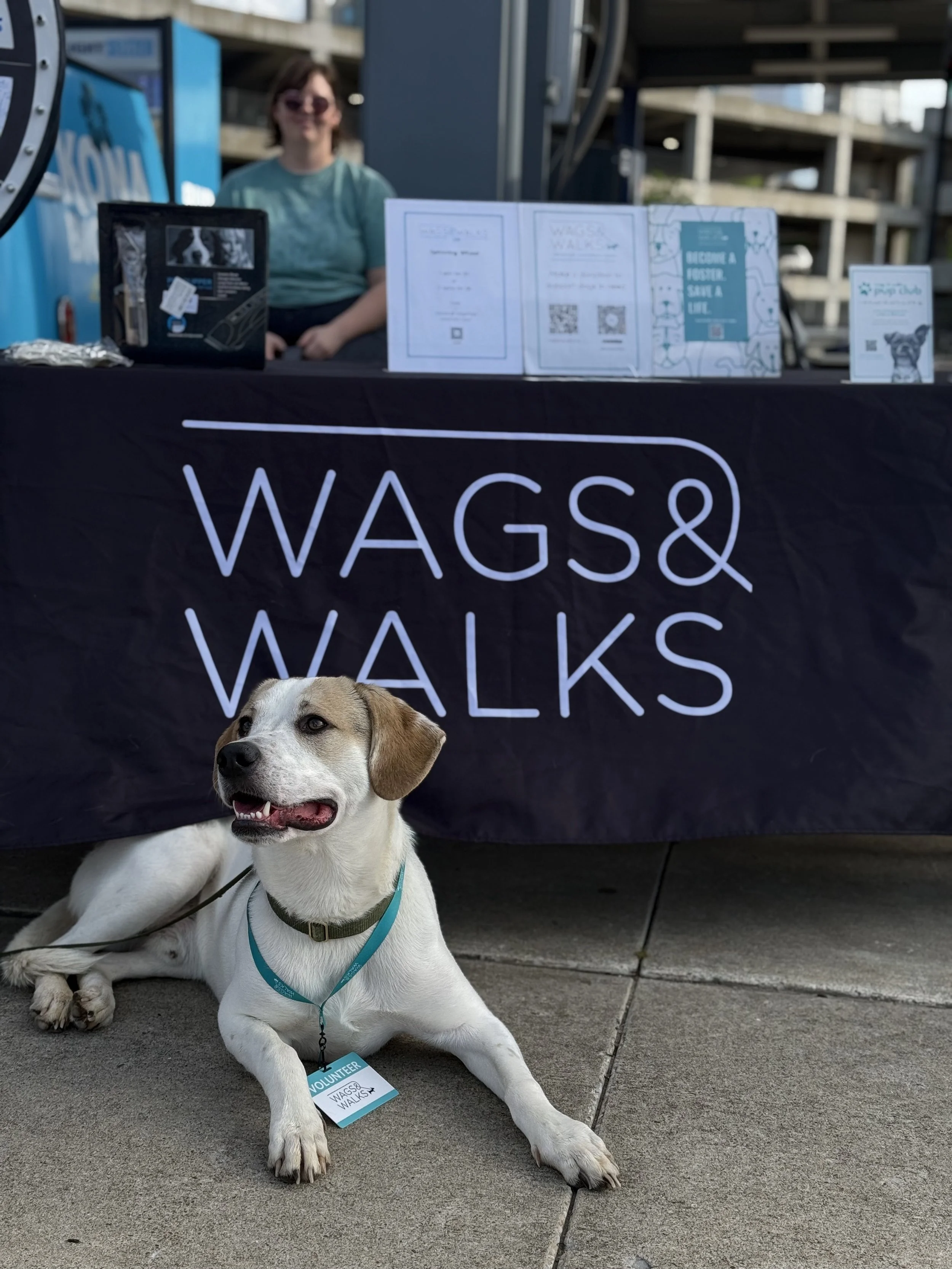 Tail Waggin’ Tuesdays with the Nashville Sounds