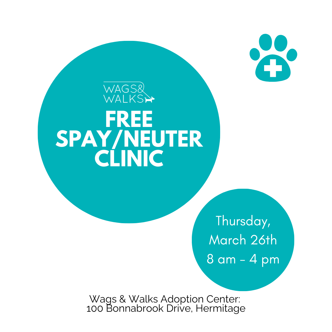 Free Spay/Neuter Clinic