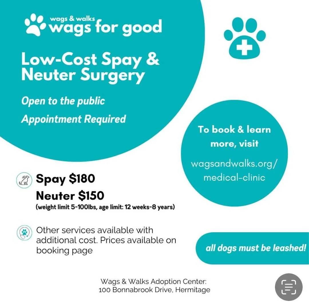 Low Cost Spay &amp; Neuter Clinic 