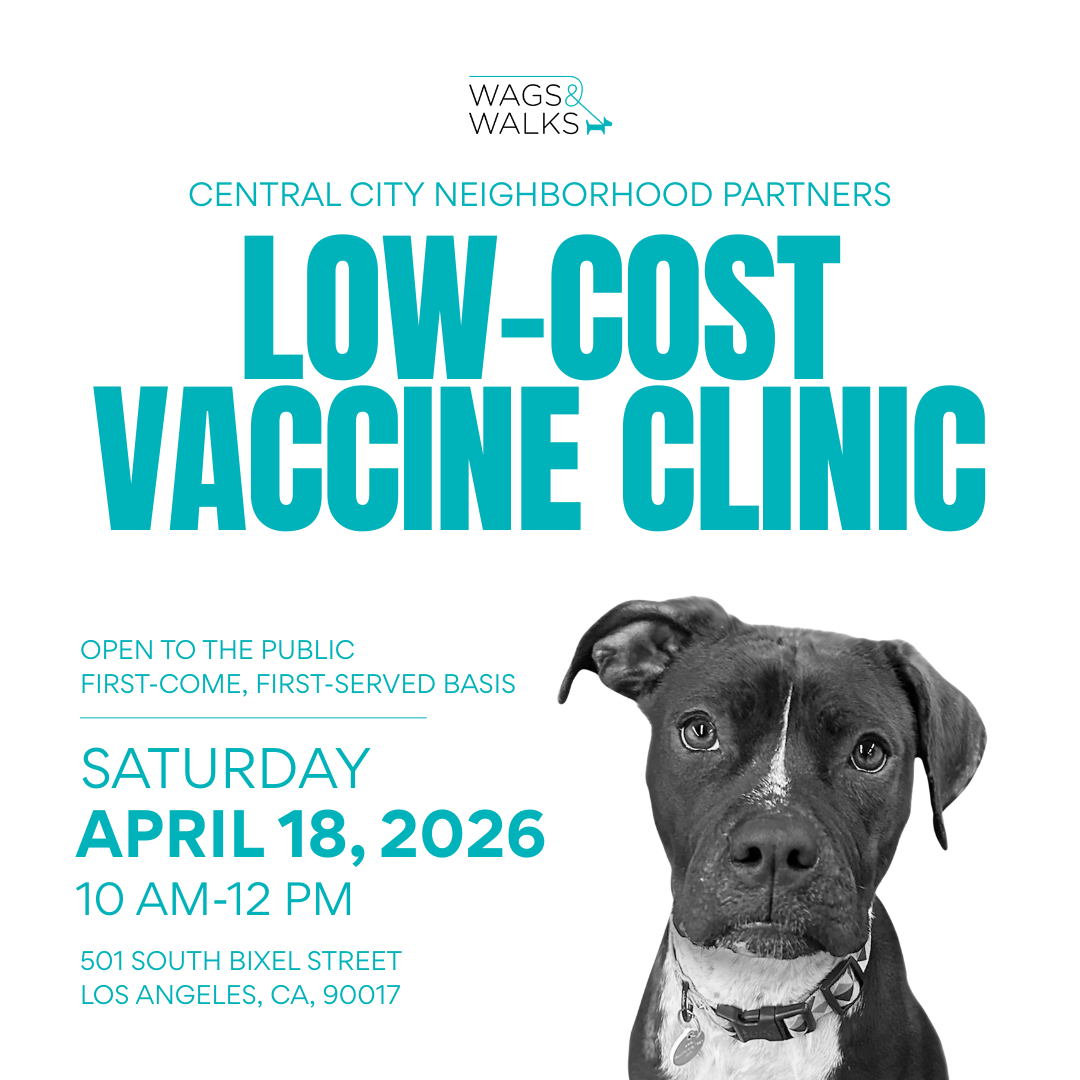 Wags For Good: Vaccine Clinic 