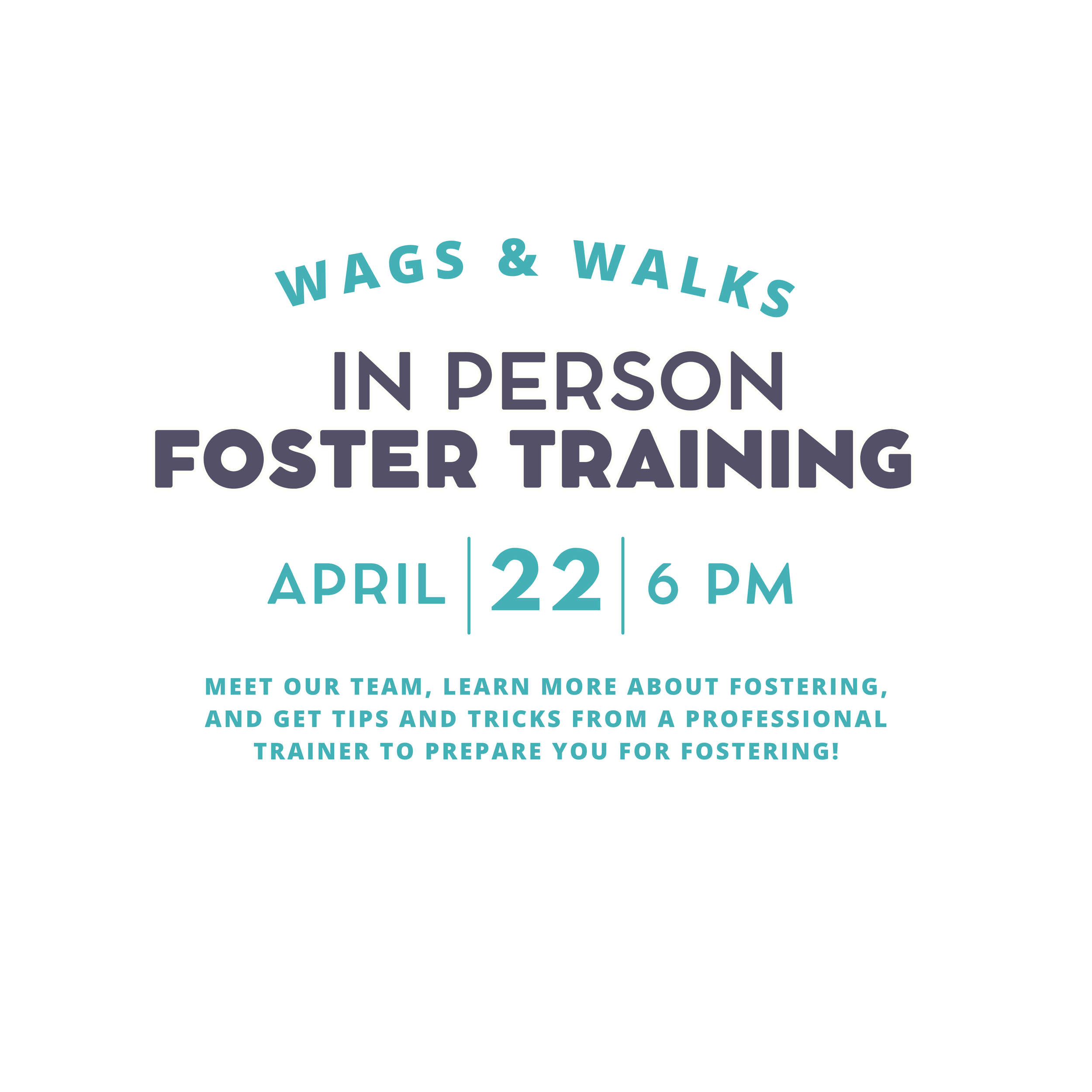 Foster Training Workshop