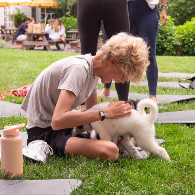 Puppy Yoga in the Square