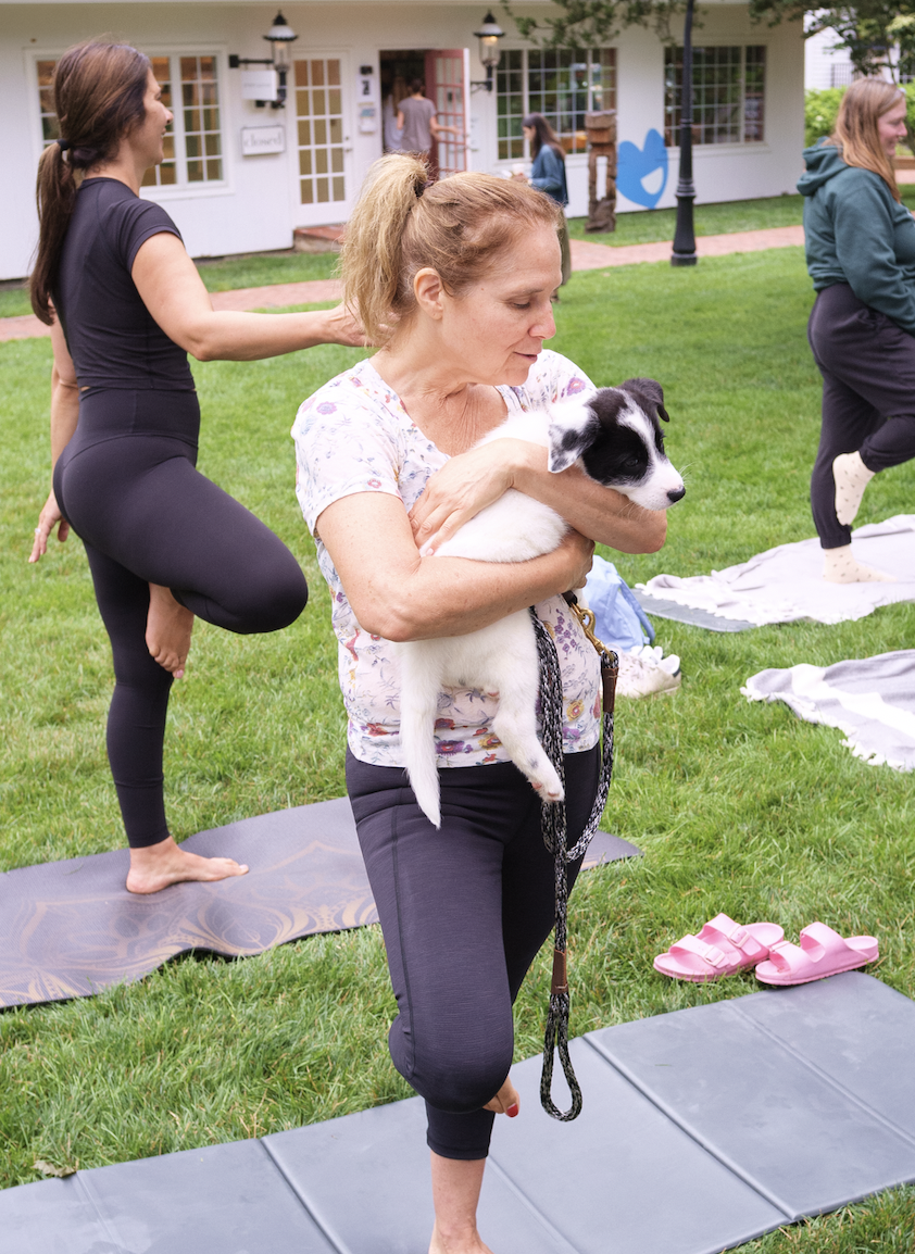 Puppy Yoga in the Square 