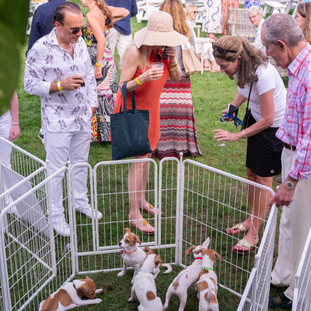 Hamptons Launch Party