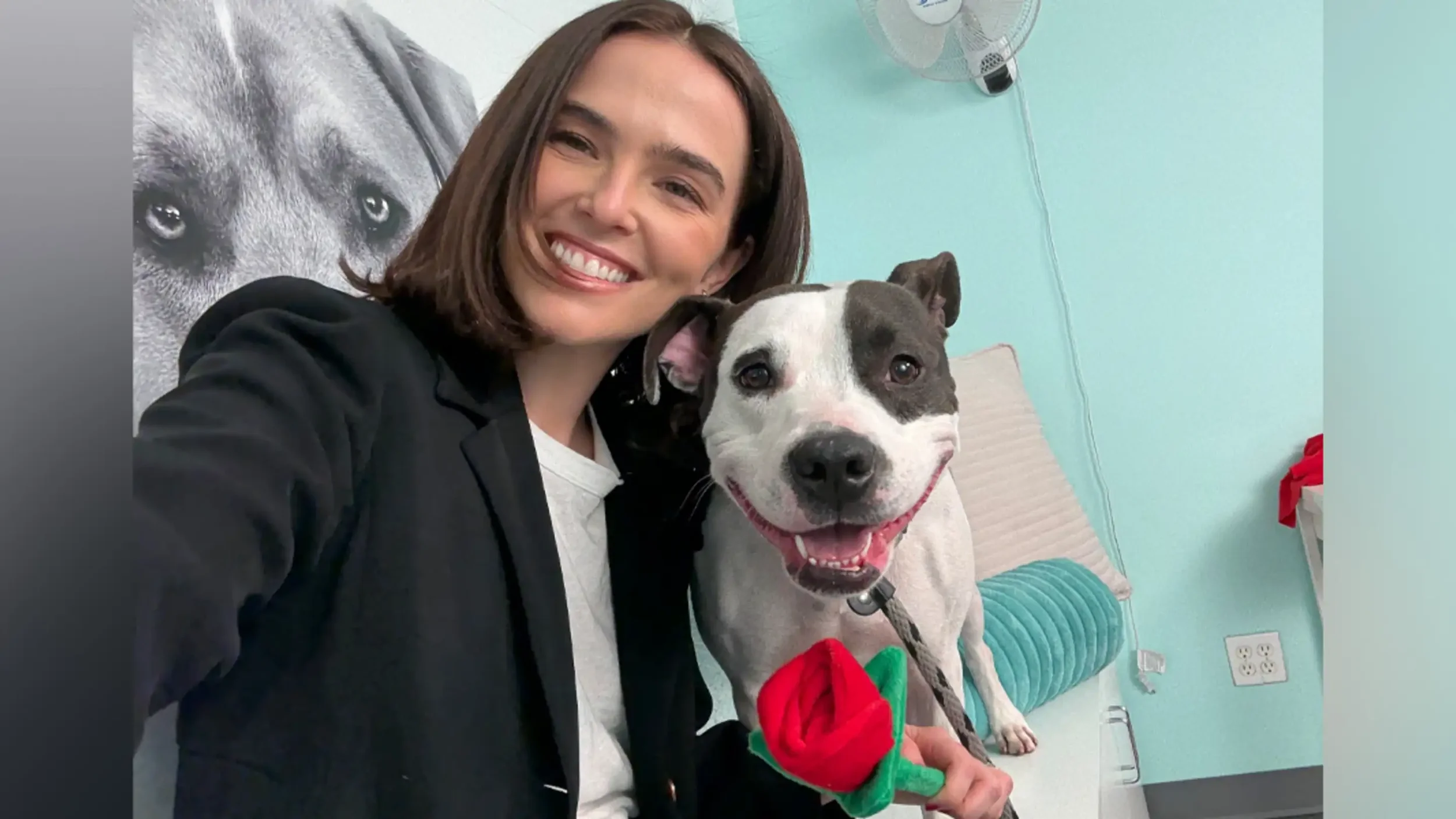 Zoey Deutch’s Dream Date with Rescue Pup Parsley