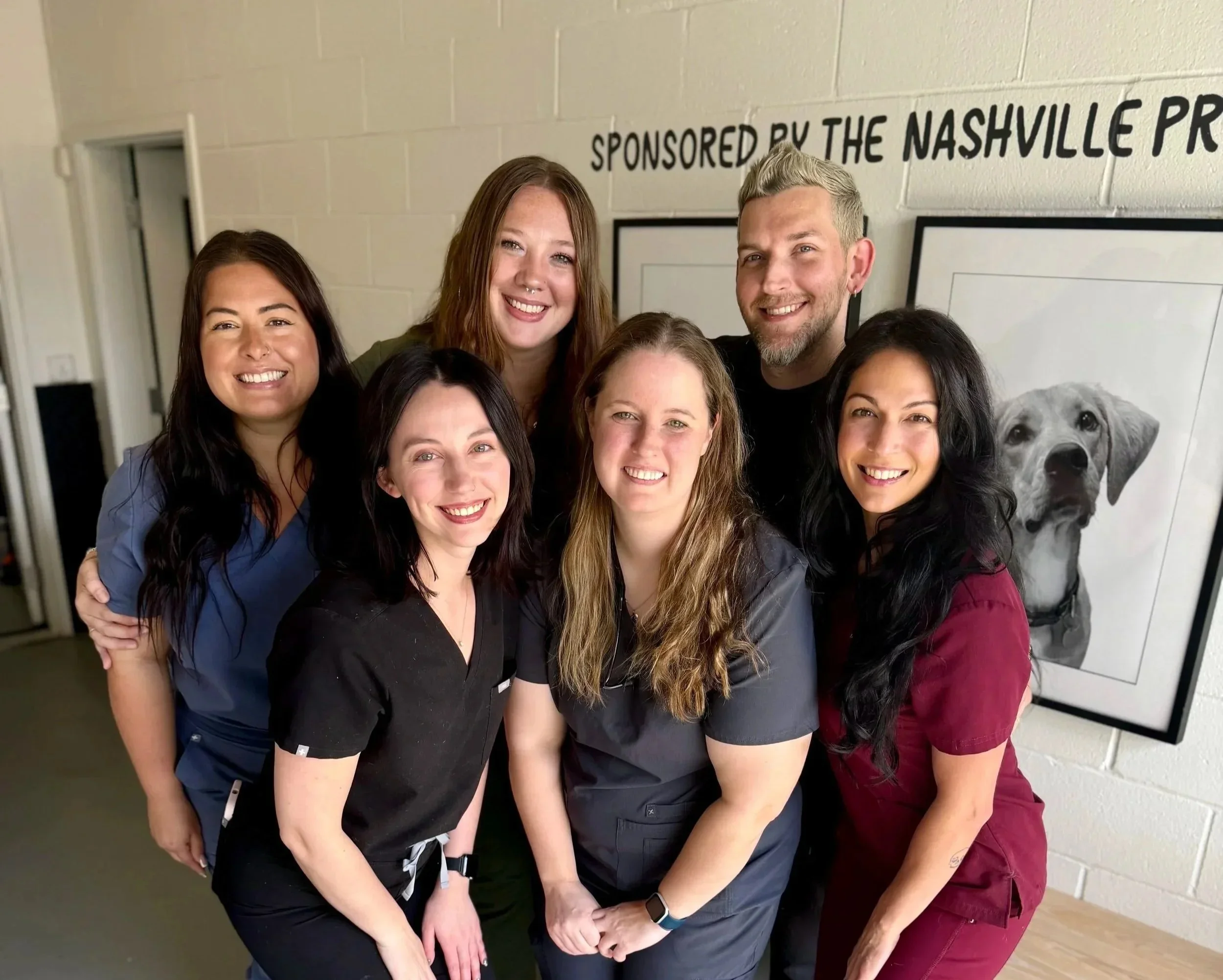 Wags &amp; Walks Nashville unveils free spay and neuter program