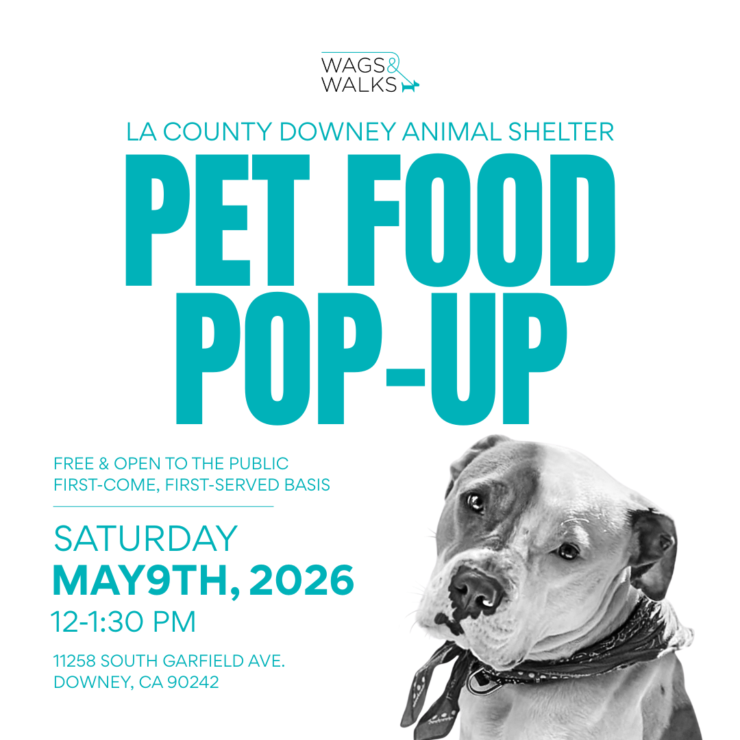 Wags For Good: Dog Food Pop-Up 