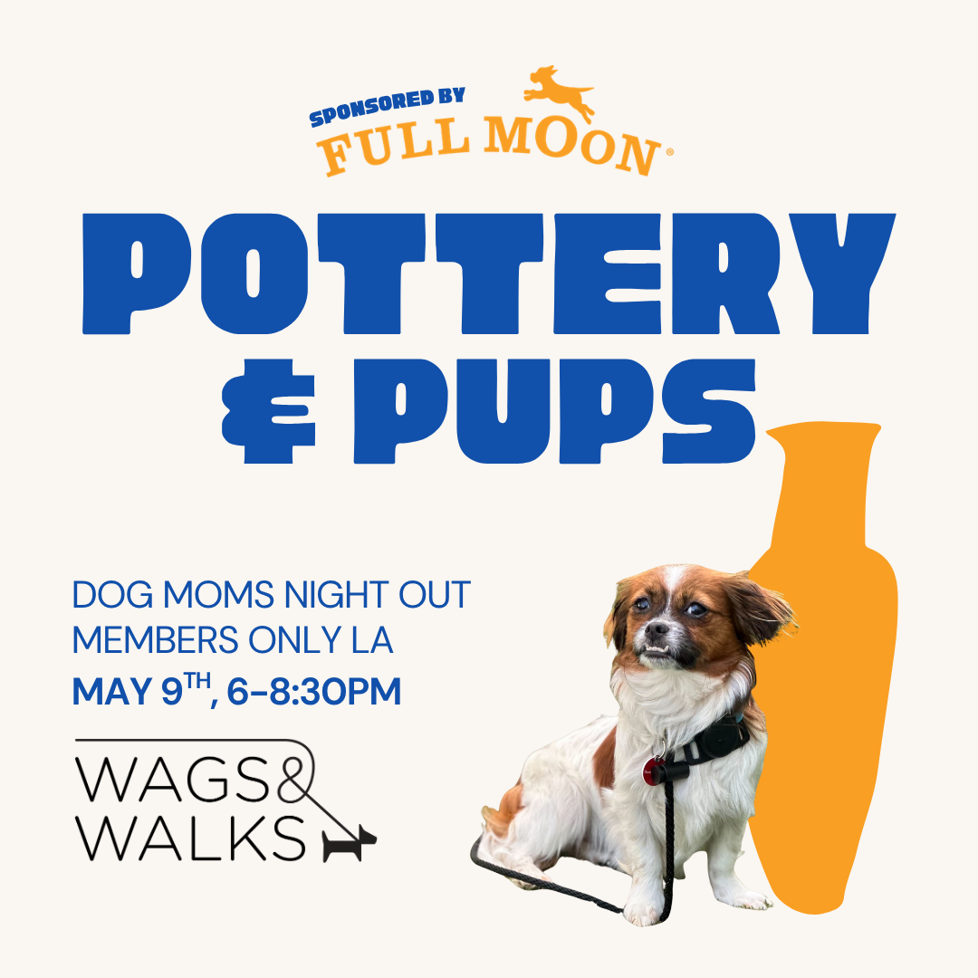 Dog Mom Night Out: Pottery and Pups