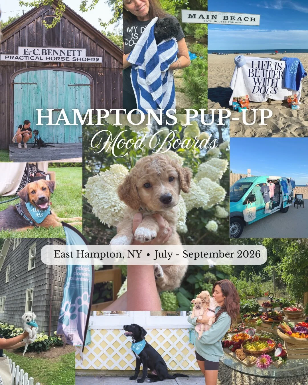 We love the way summer 2026 is looking, and we can&rsquo;t wait to get started!

In just a few short weeks, our team will be heading back to the Hamptons to welcome the first round of rescue dogs to the northeast. Starting July 7th, we&rsquo;ll be ki