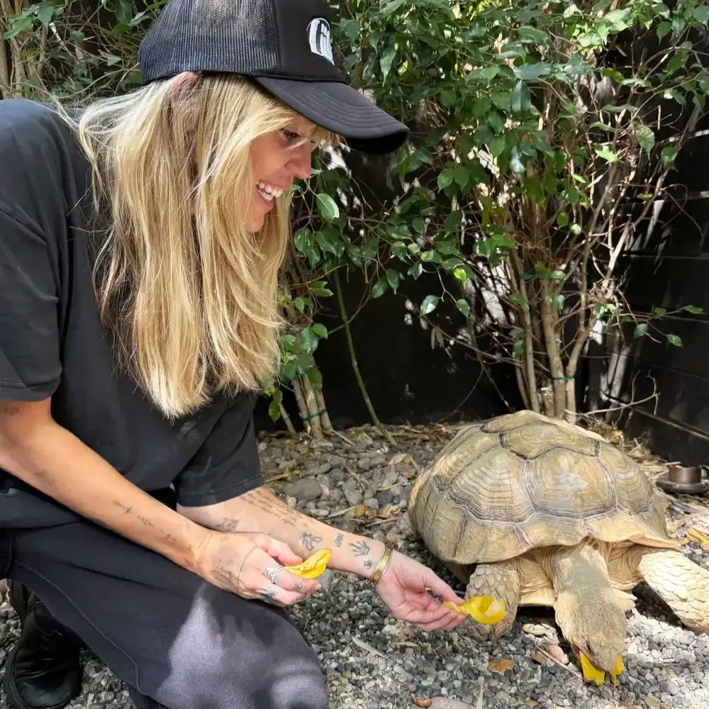 Miley Cyrus rescues tortoise through Wags and Walks