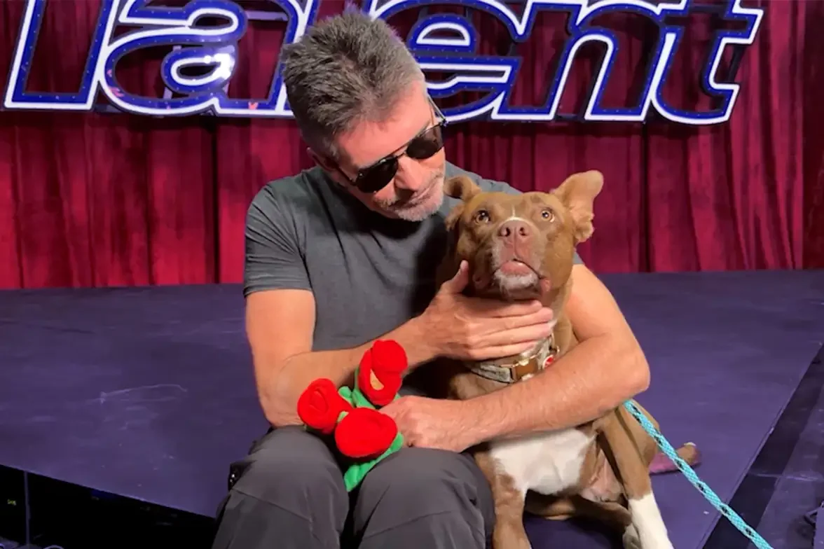 Simon Cowell takes a rescue pup around the set of America’s Got Talent