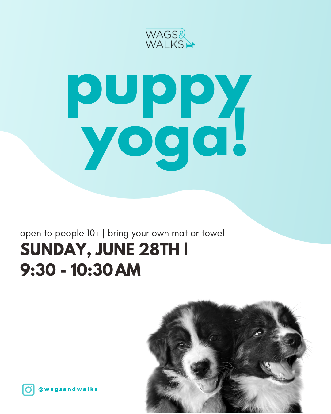 Puppy Yoga