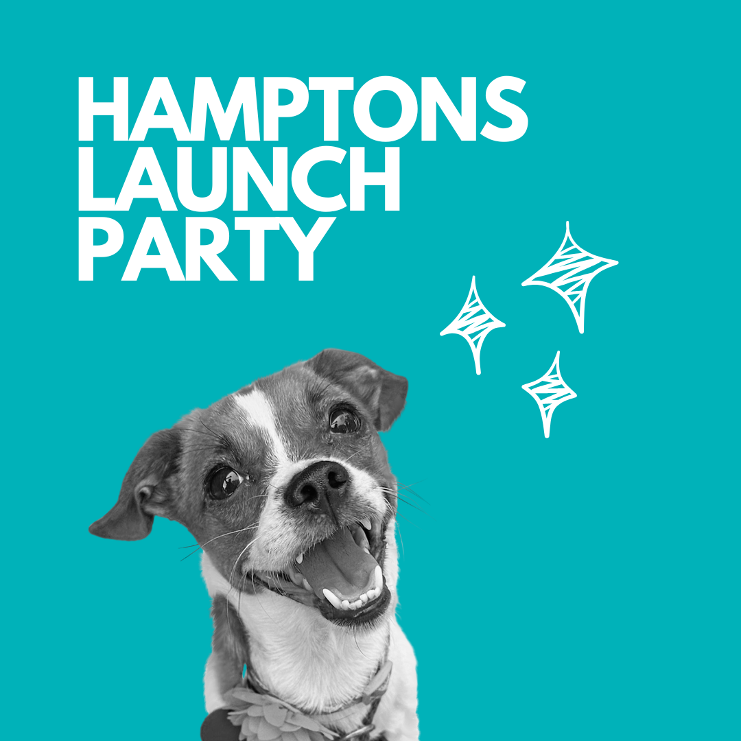 Hamptons Launch Party
