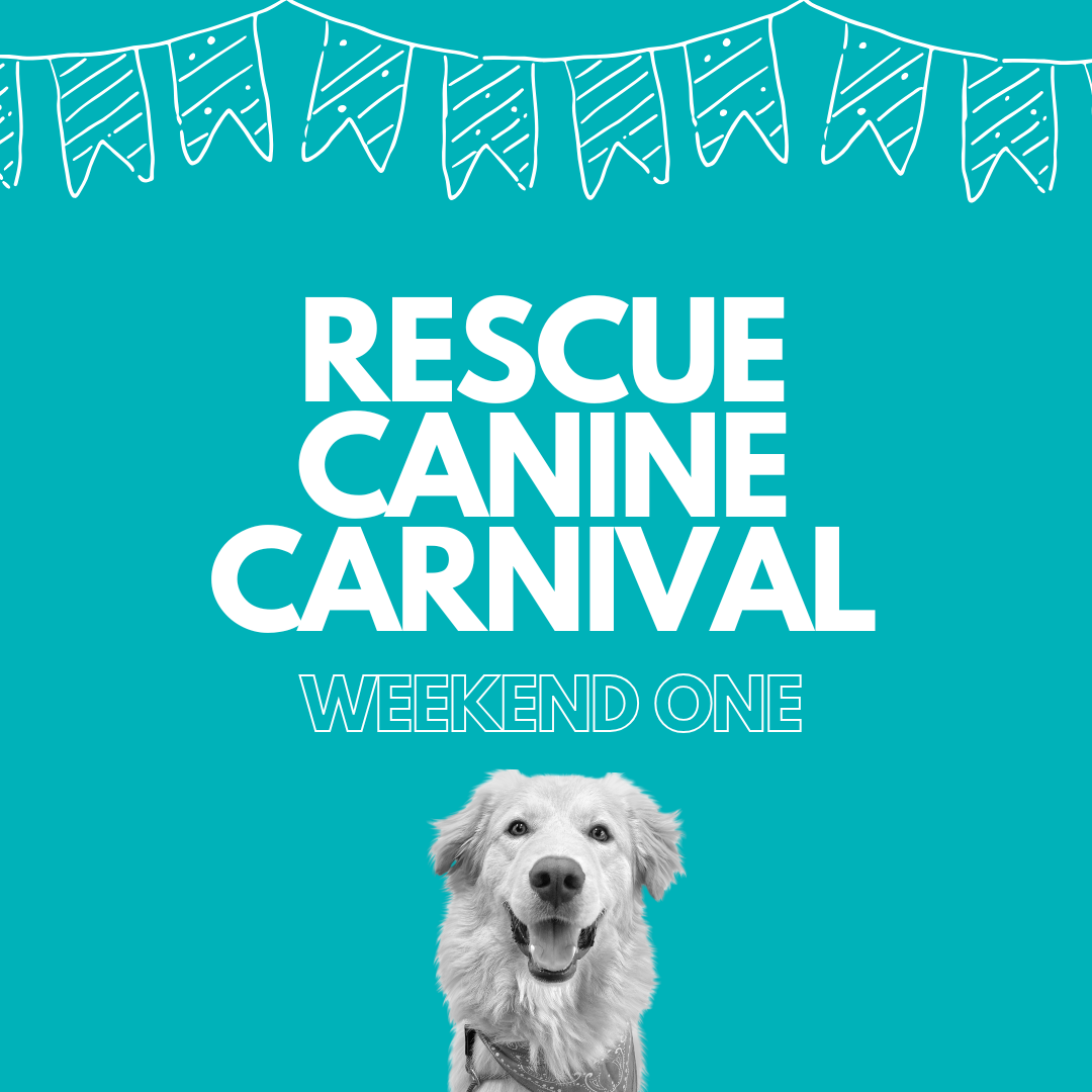 Rescue Canine Carnival (Weekend One)