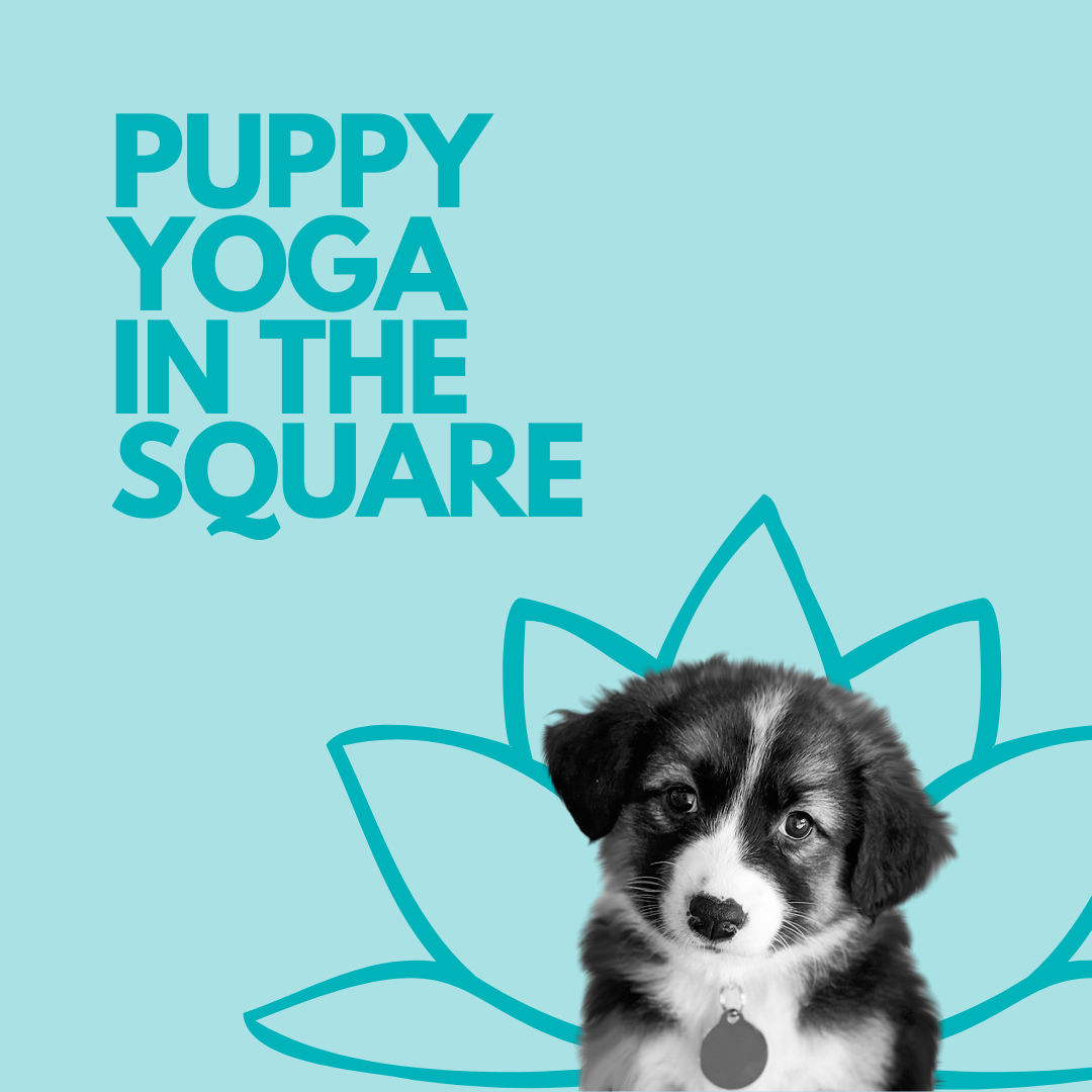 Puppy Yoga in the Square 