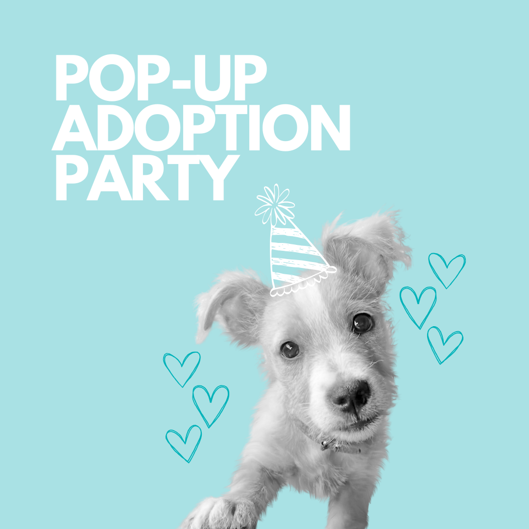 Pup-Up Adoption Party