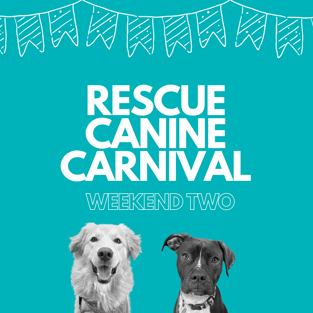 Rescue Canine Carnival (Weekend Two)