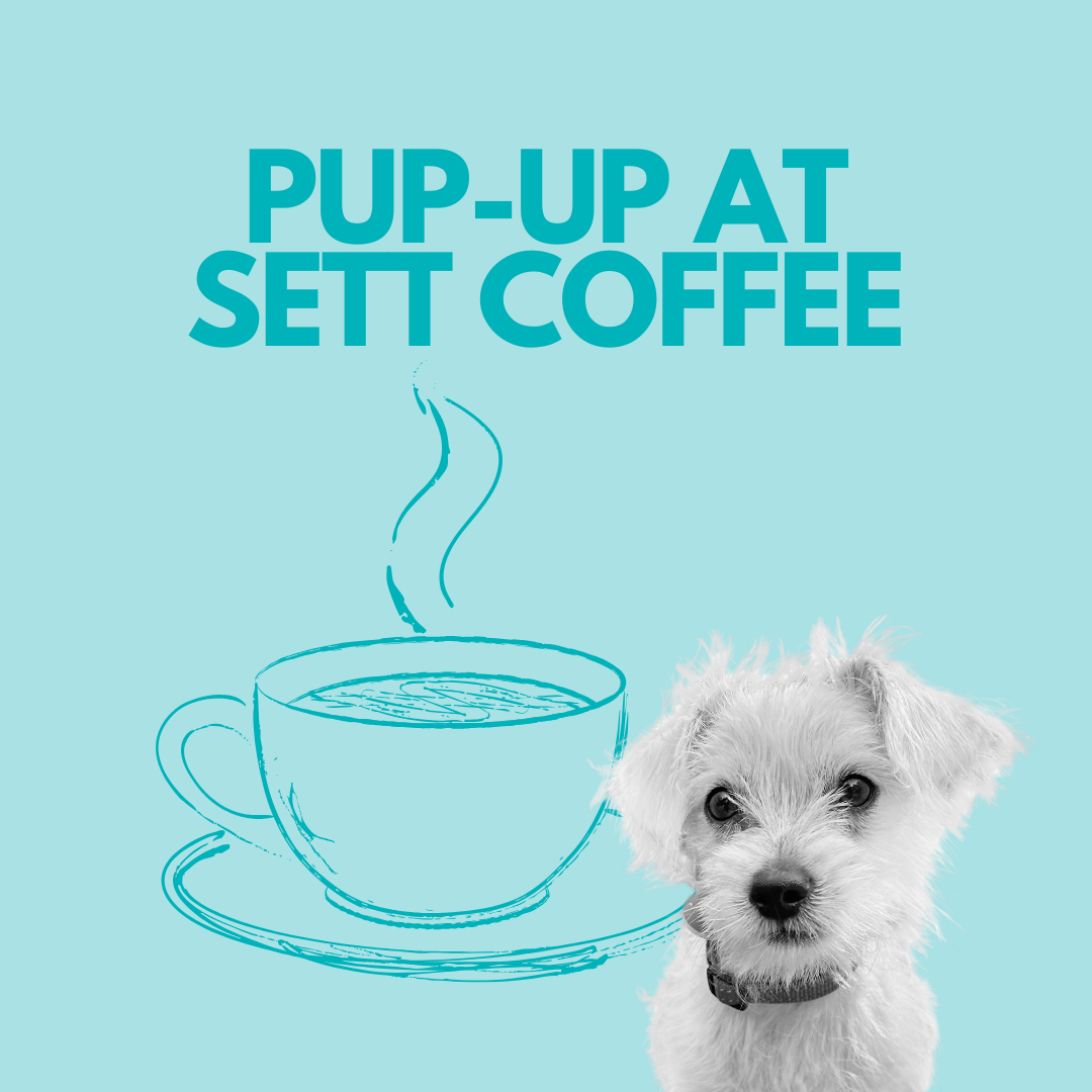 Pup-Up at Sett Coffee