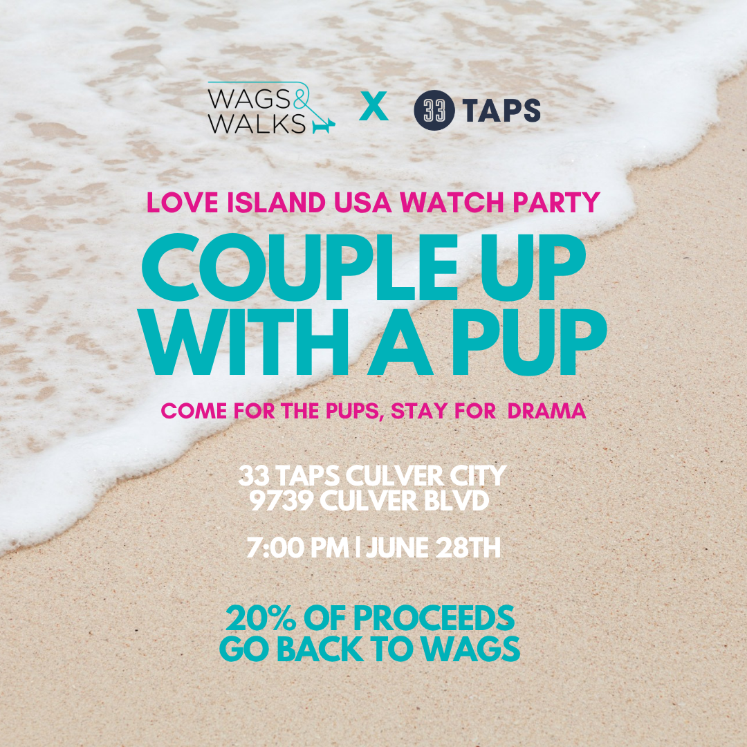 Couple Up with a Pup: A Love Island USA Watch Party @ 33 TAPS Culver City - Summer Series