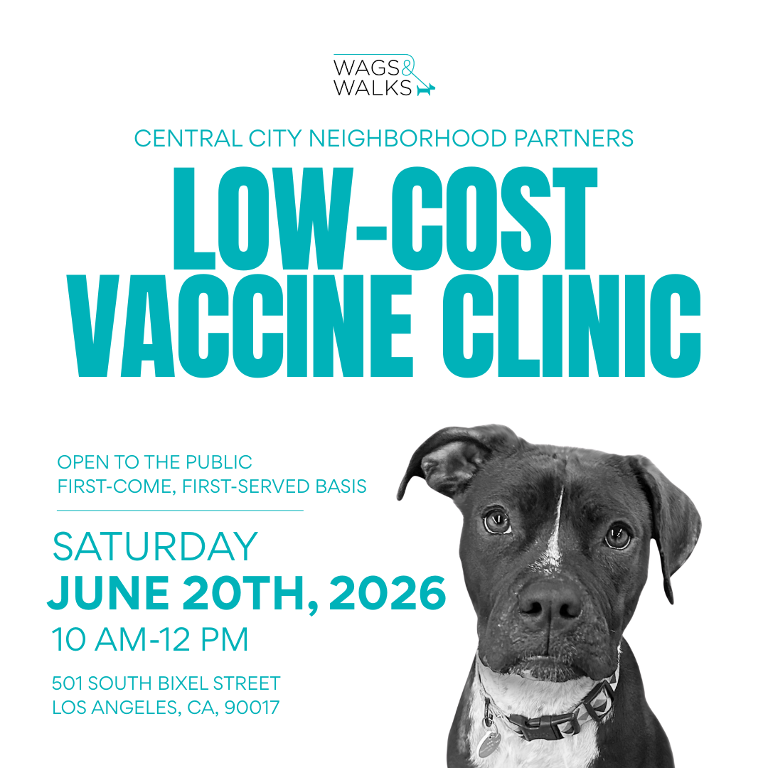 Wags For Good: Vaccine Clinic 