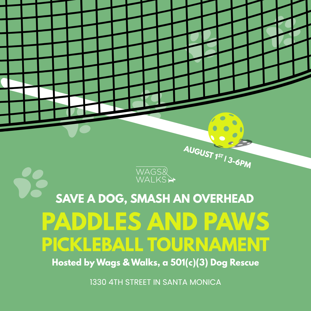 Paddles and Paws Pickleball Tournament