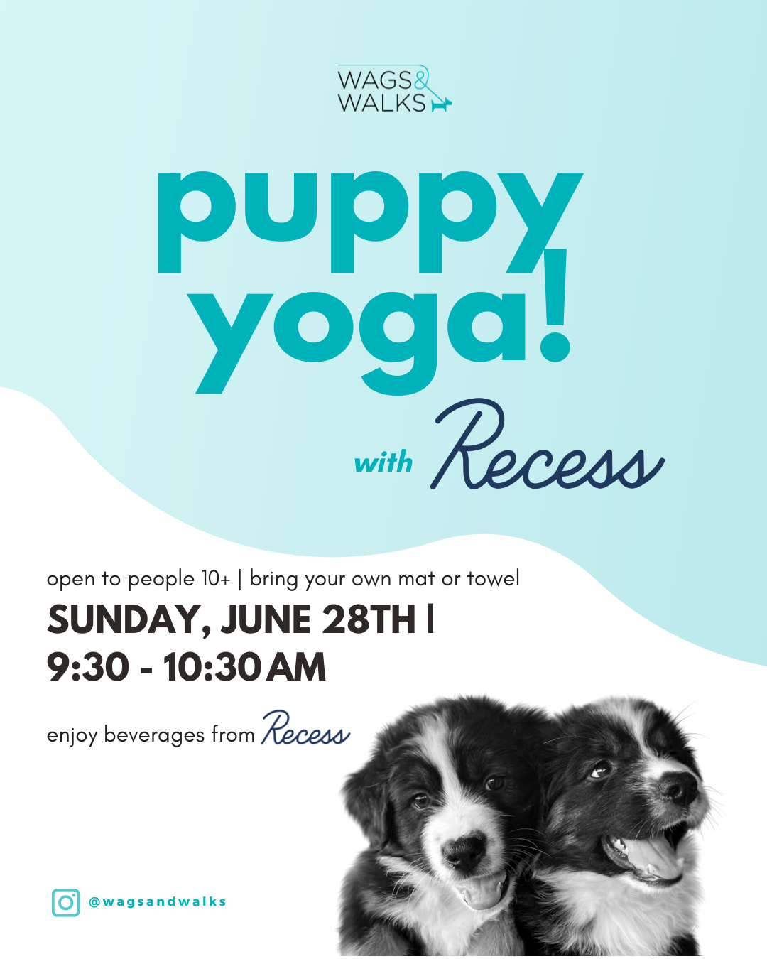 SOLD OUT: Puppy Yoga