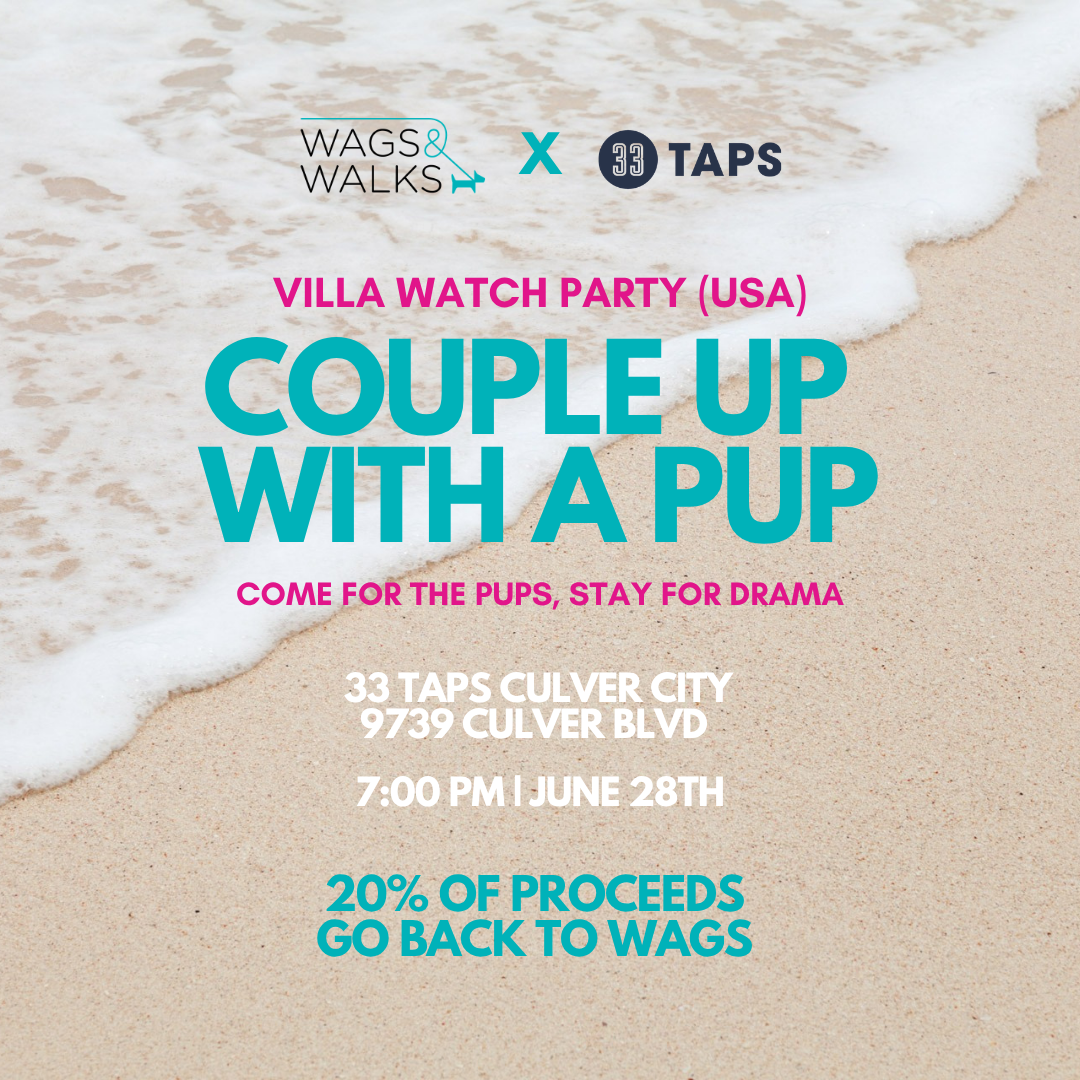 Couple Up with a Pup: Villa Watch Party (USA) @ 33 TAPS Culver City - Summer Series