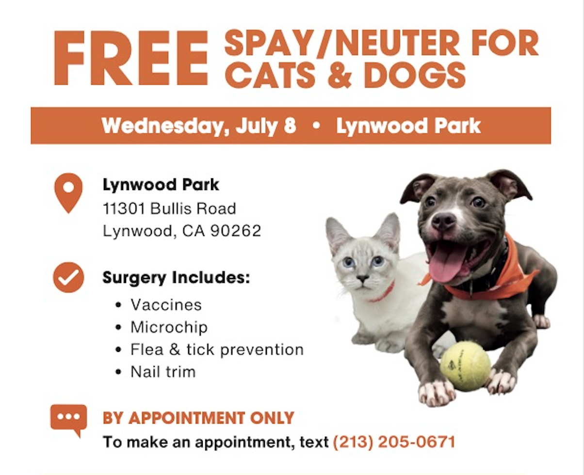 Wags for Good: Free Spay/Neuter Clinic