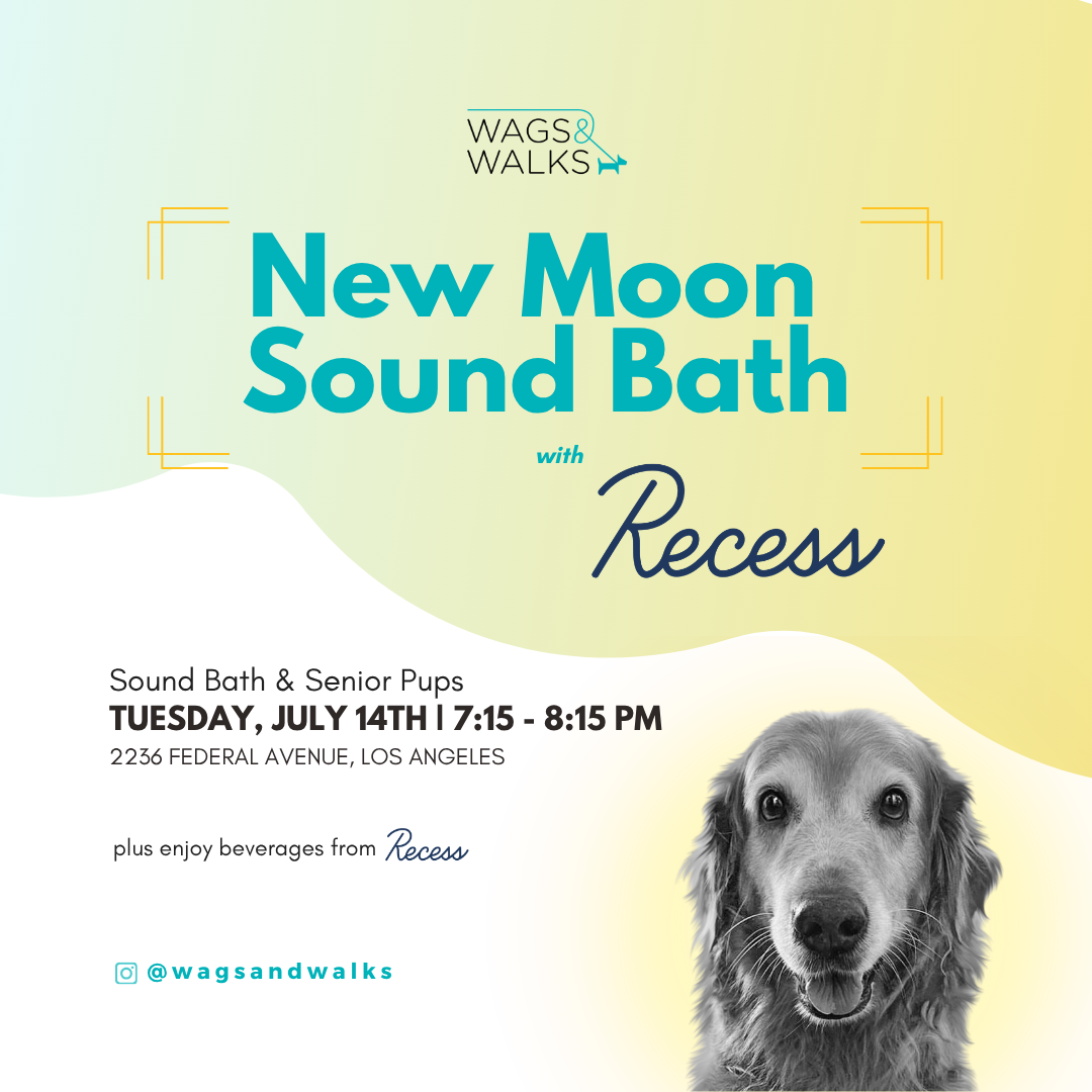 Sound Bath &amp; Seniors