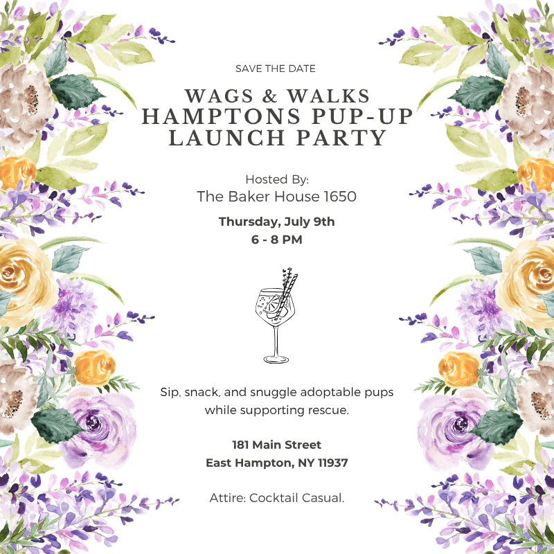Hamptons Launch Party