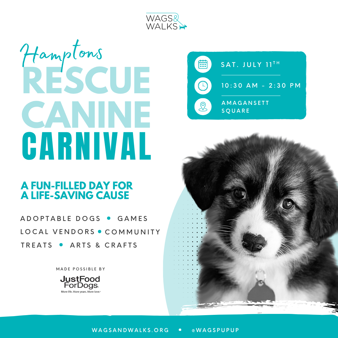Rescue Canine Carnival (Weekend One)