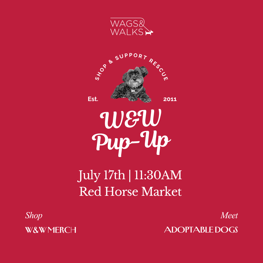 7.17.26 | Pup-Up at Red Horse Market
