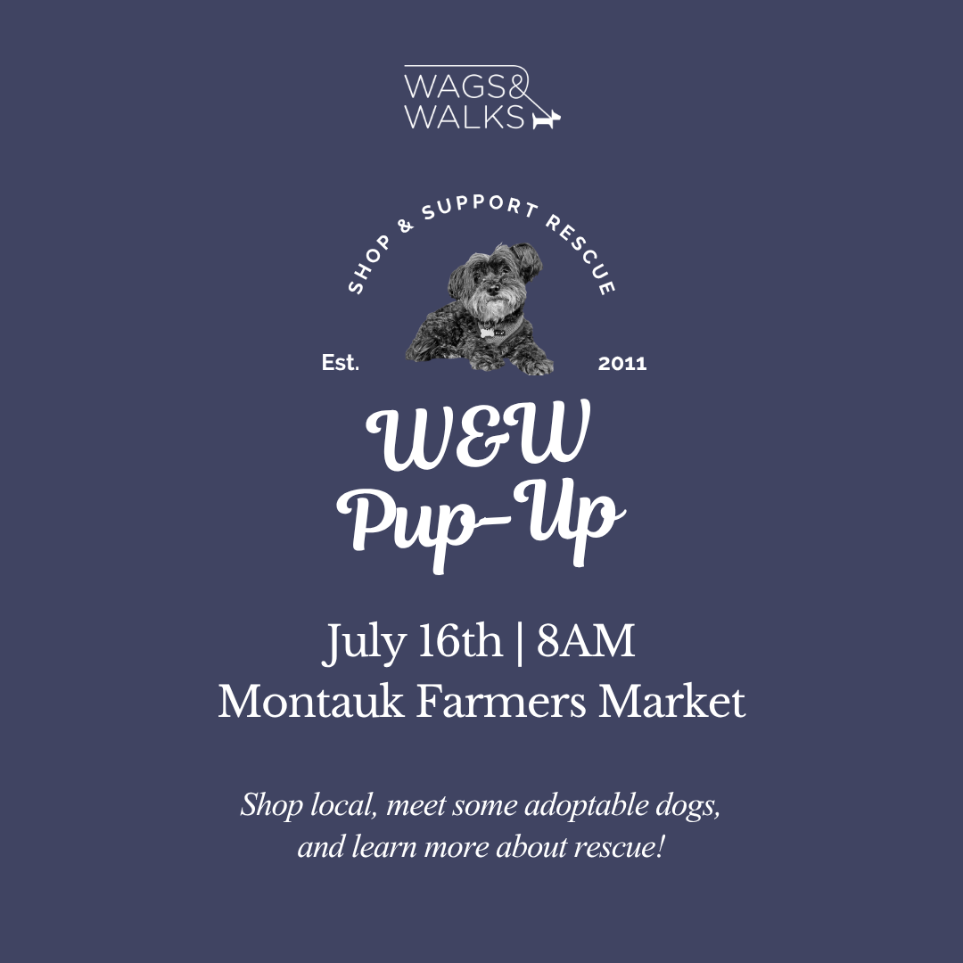 7.16.26 | Pup-Up at Montauk Farmers Market