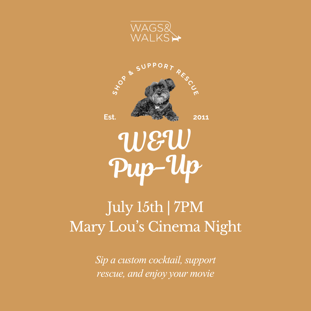 7.15.26 | Cinema Night at Mary Lou’s